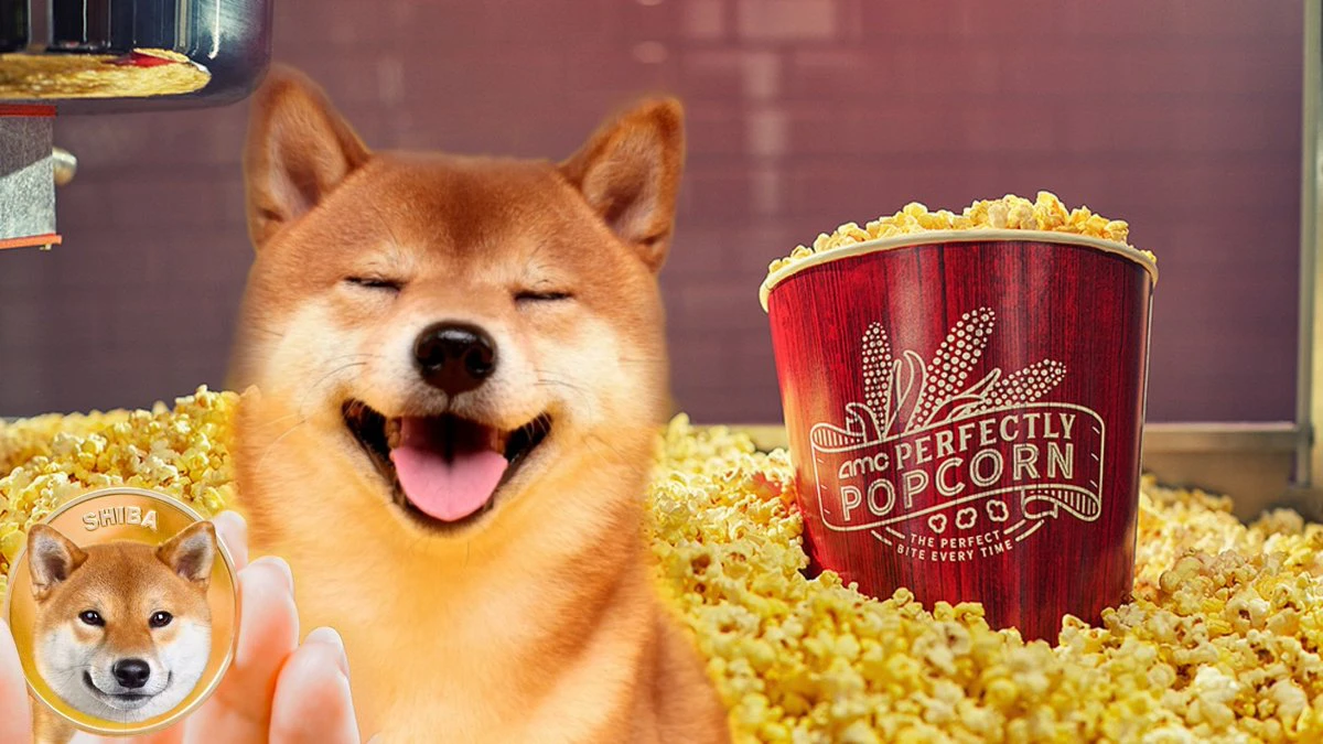 попкорн Shib